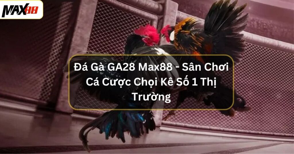 Đá Gà GA28 Max88 - Sân Chơi Cá Cược Chọi Kê Số 1 Thị Trường